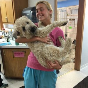 Meet your Posher, Holly